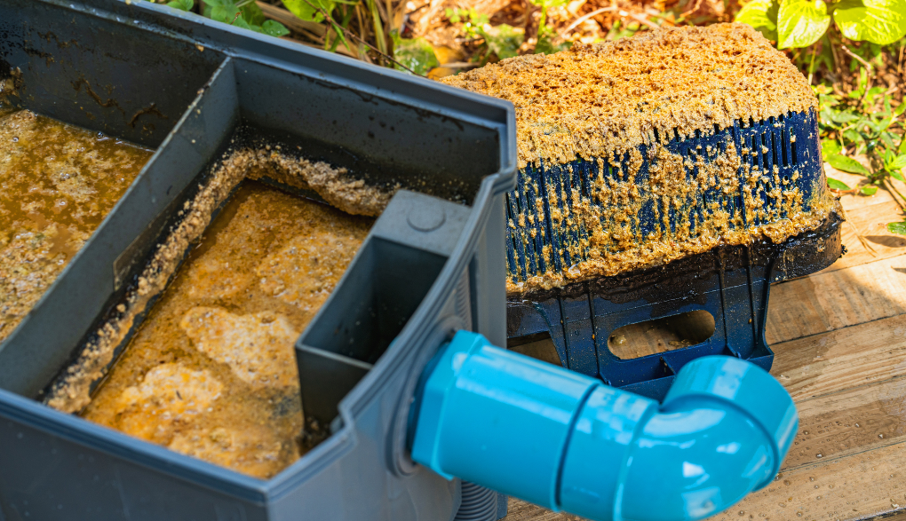 grease trap cleaning procedure