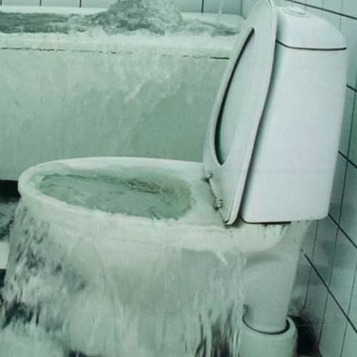 Toilet Backing Up? Contact our Professional 24/7 Plumbers