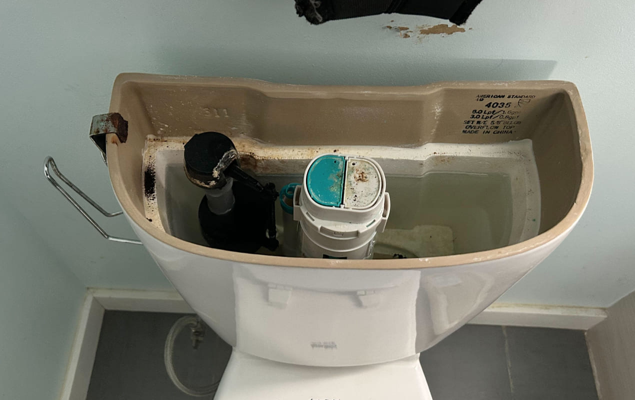 toilet repair hamilton
