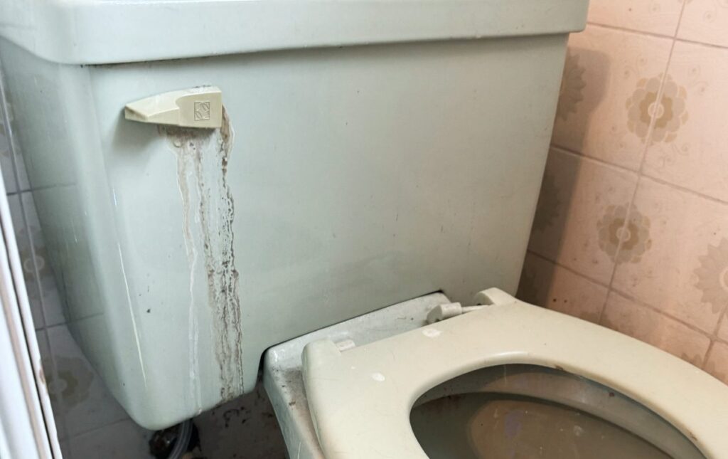 Comprehensive toilet repair services by Superior Plumbing & Heating