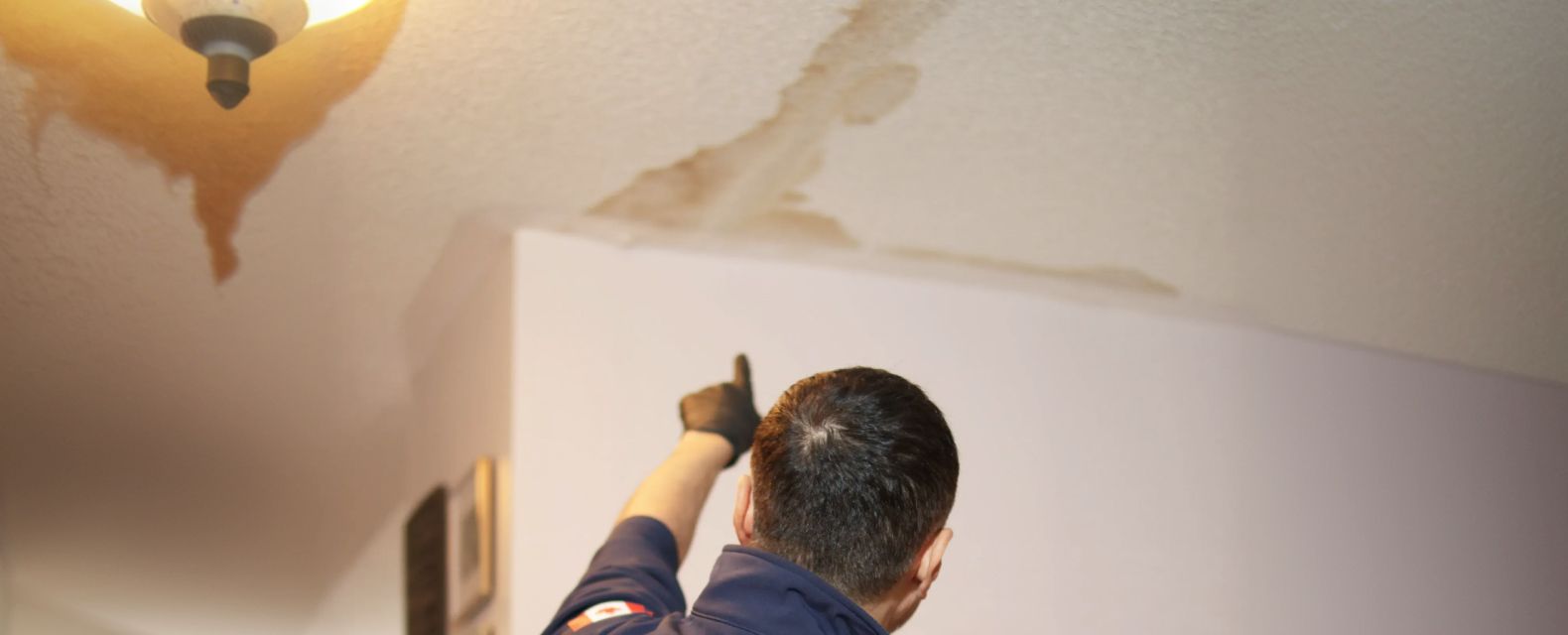 Stain Isn’t the Source