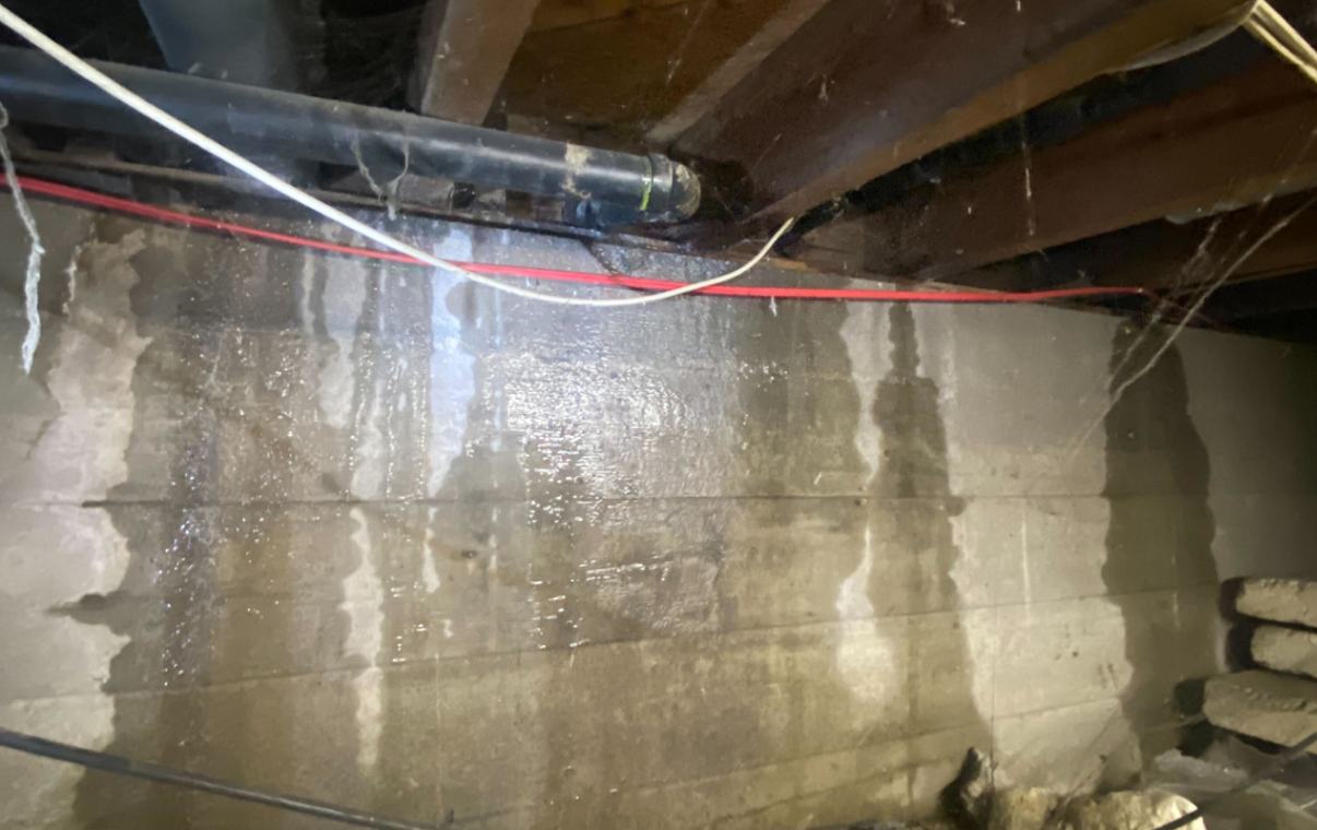 Emergency plumbing service for basement water leak